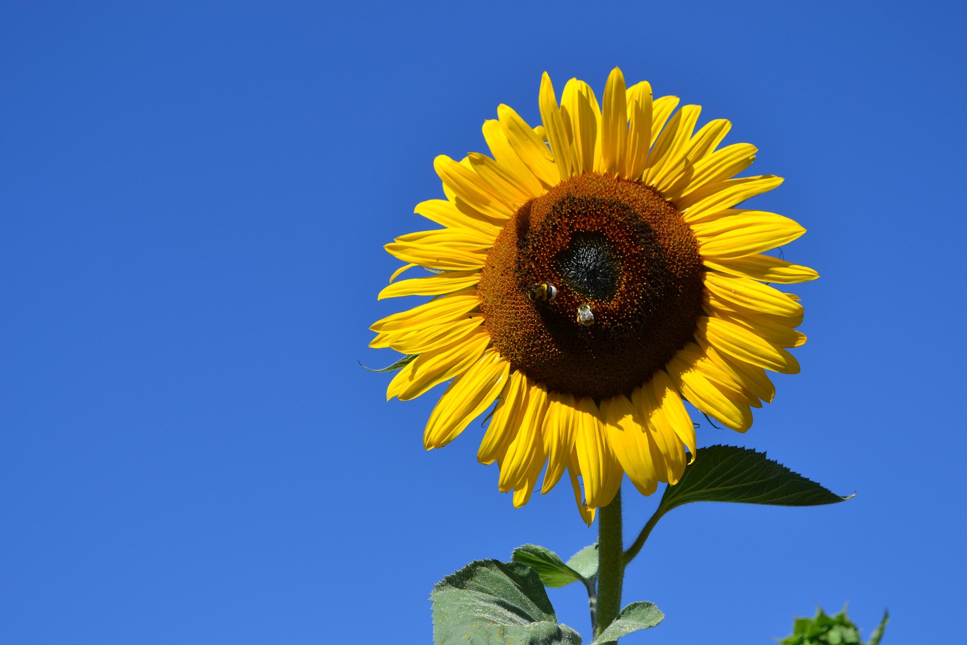 Sommerpause